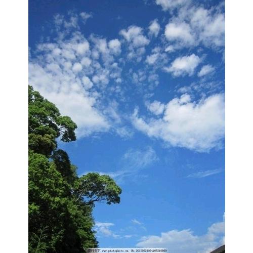 一蓑煙雨任平生·蘇軾傳