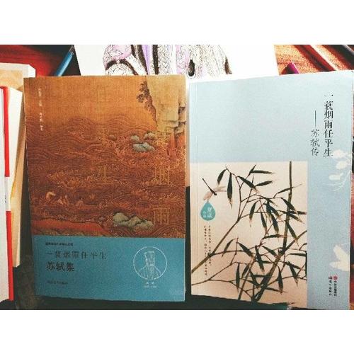 一蓑煙雨任平生·蘇軾傳