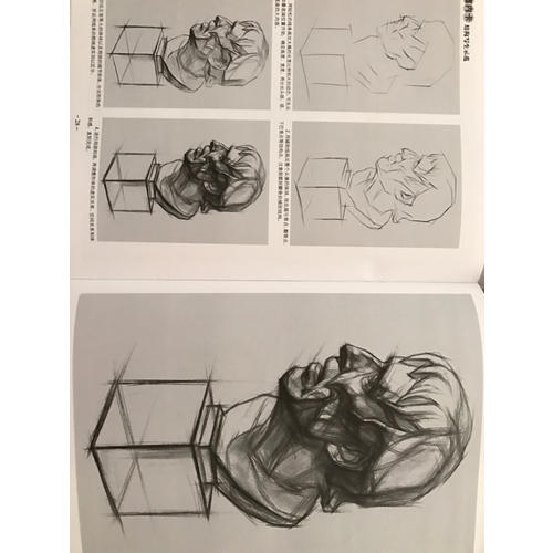 素描基礎(chǔ)教程.從結(jié)構(gòu)到明暗4石膏頭像