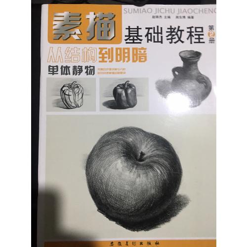 素描基礎(chǔ)教程.從結(jié)構(gòu)到明暗4石膏頭像