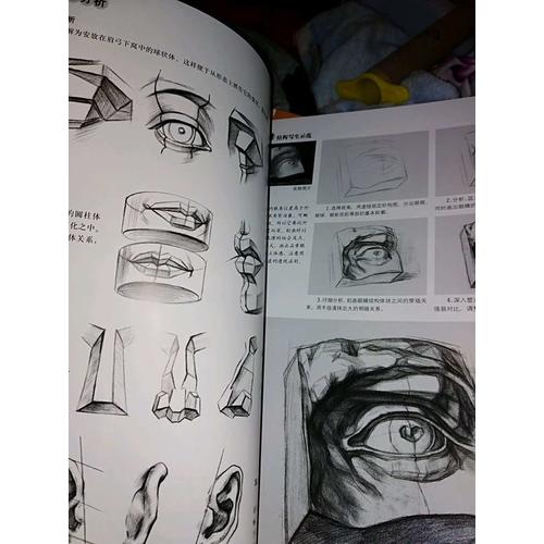 素描基礎(chǔ)教程.從結(jié)構(gòu)到明暗4石膏頭像