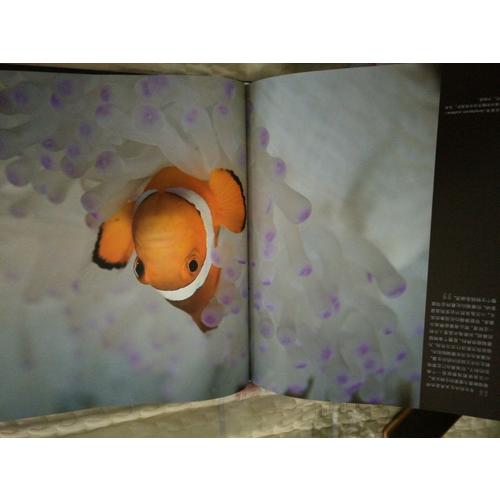 DK海底世界：珊瑚礁和魚類的天堂