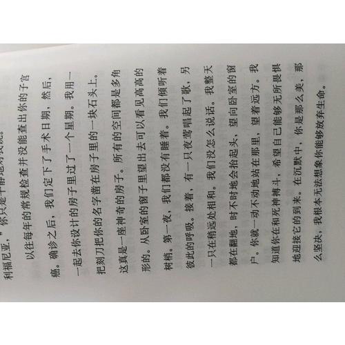 致D情史