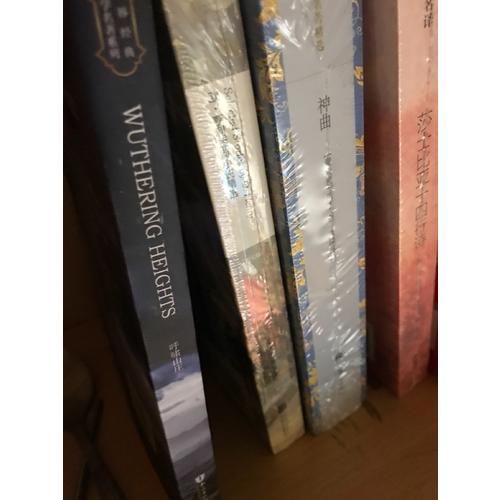 呼嘯山莊 全英文版