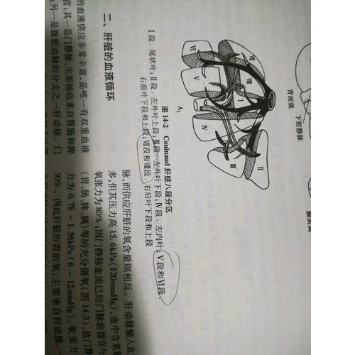 現代麻醉學（第4版·全2冊）