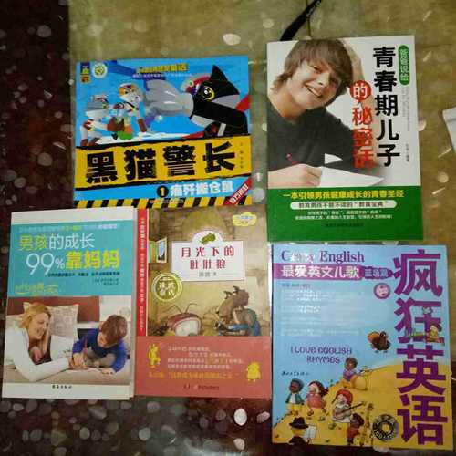 爸爸說給青春期兒子的秘密話