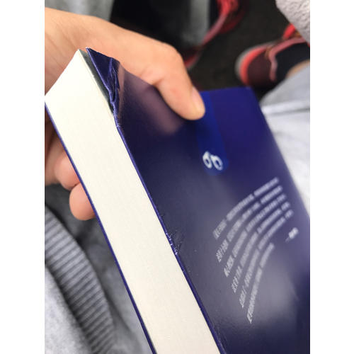 鏡頭下的訊問：全程錄音錄像下的訊問方略與技巧