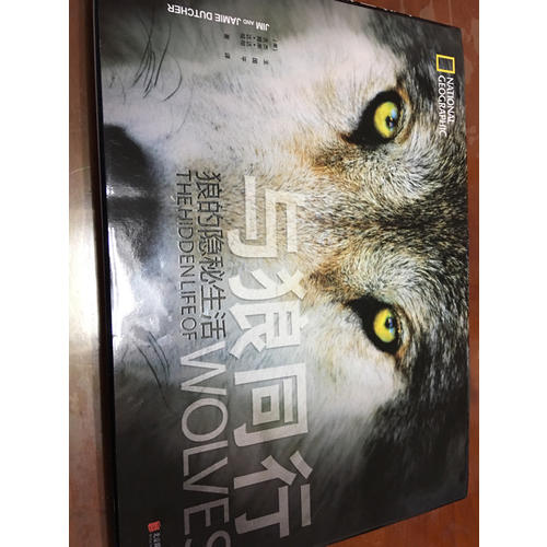 與狼同行：狼的隱秘生活
