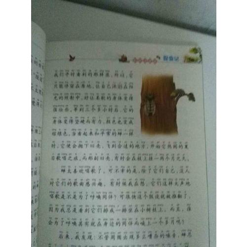昆蟲記（彩繪注音版）