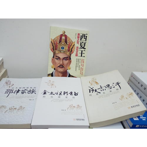 西夏王：英雄之生，當(dāng)為王霸