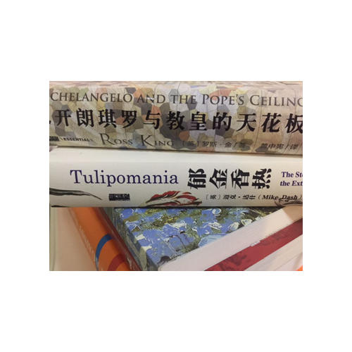 米開朗琪羅與教皇的天花板