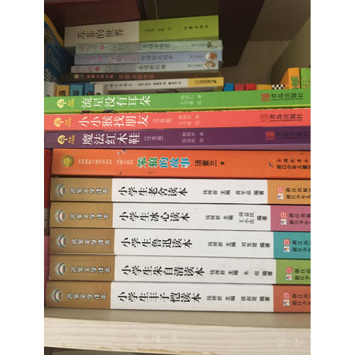 名家文學(xué)讀本：小學(xué)生冰心讀本