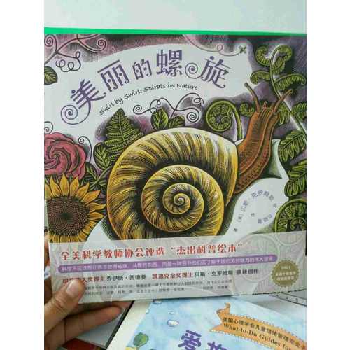 美麗的螺旋