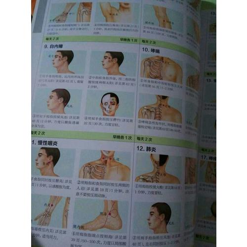 圖解人體經絡穴位養生一本通