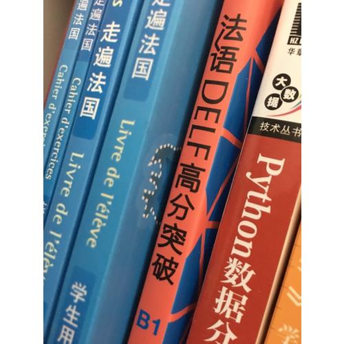 法語DELF高分突破(B1)