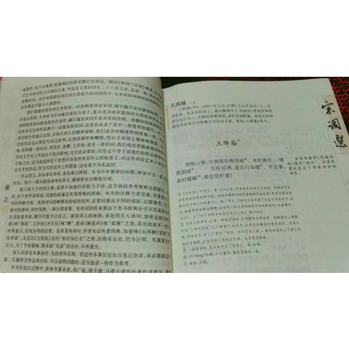 宋詞選