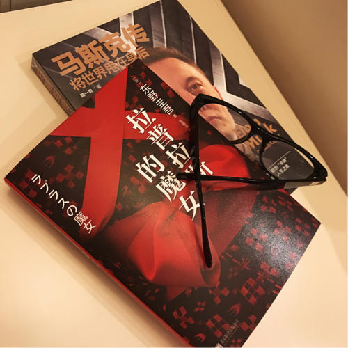 馬斯克傳：將世界甩在身后