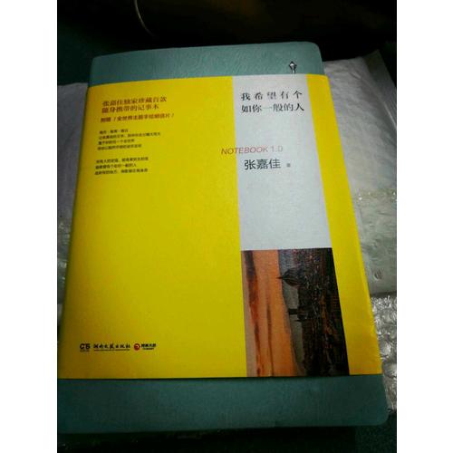 我希望有個如你一般的人