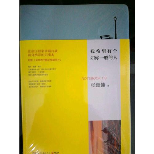 我希望有個如你一般的人