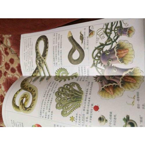 我的藝術系列（共2冊）