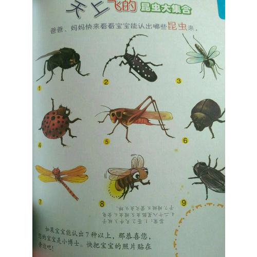 幼兒版十萬個為什么（全彩注音版·共8冊）