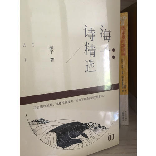 海子詩(shī)精選
