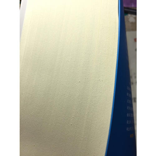 建設工程施工合同（示范文本）應用指南與風險提示（近期修訂版）