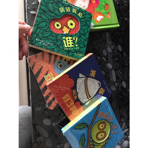 寶寶的及時(shí)本躲貓貓游戲書(shū)：我長(zhǎng)大了