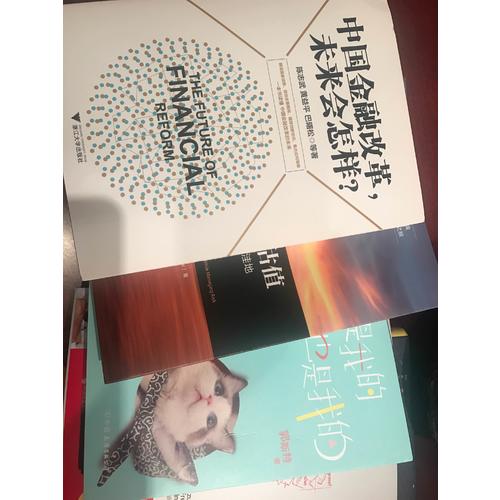 中國金融改革，未來會怎樣？