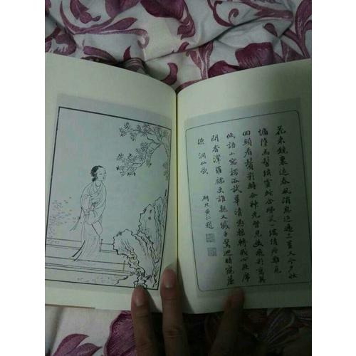 國學基本典籍叢刊：紅樓夢圖詠