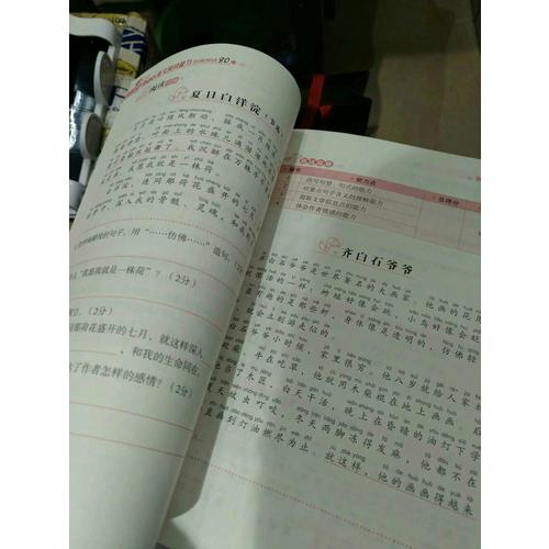 小學生語文閱讀能力階梯測試80篇·二年級