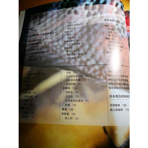 DK淡水觀賞魚鑒賞養殖手冊