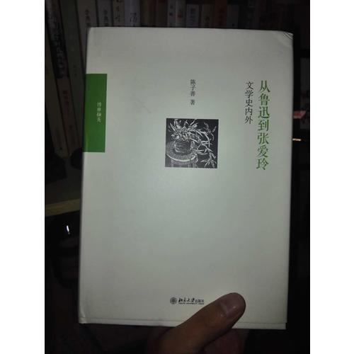 從魯迅到張愛玲：文學(xué)史內(nèi)外