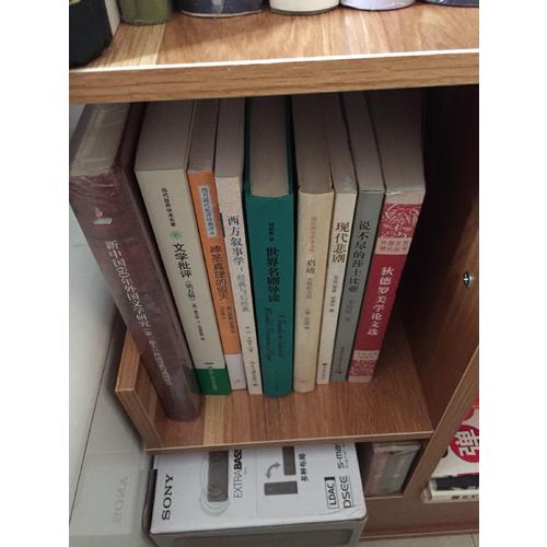 文學批評：理論與實踐導論（第五版）