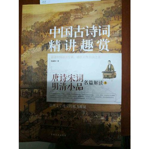 中國古詩詞 精講趣賞(上下）