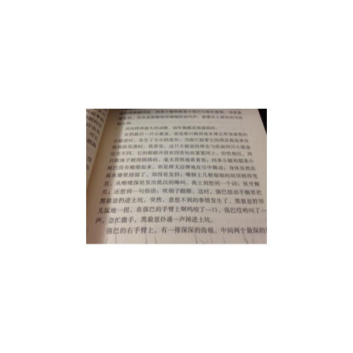 動物小說大王沈石溪·品藏書系：五只小狼