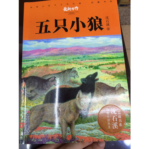 動物小說大王沈石溪·品藏書系：五只小狼