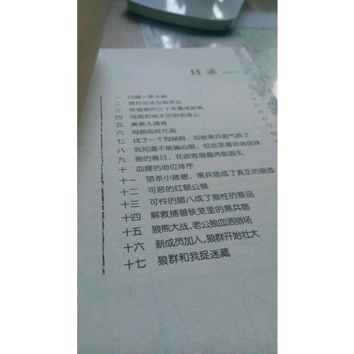 動物小說大王沈石溪·品藏書系：五只小狼