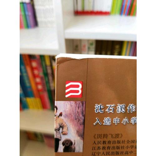 動物小說大王沈石溪·品藏書系：導盲犬迪克