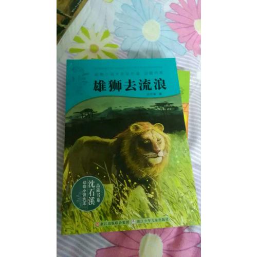 動物小說大王沈石溪·品藏書系：雄獅去流浪