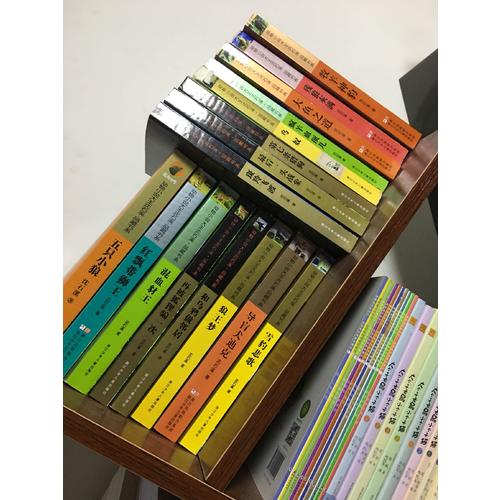 動物小說大王沈石溪品藏書系:牧羊神豹
