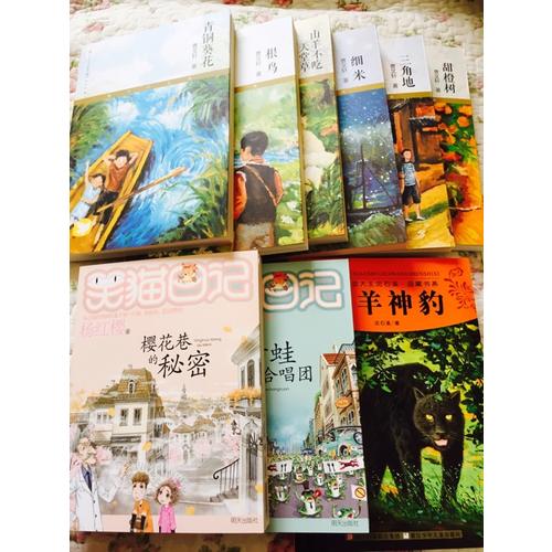 動物小說大王沈石溪品藏書系:牧羊神豹