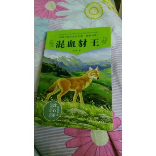 動物小說大王沈石溪品藏書系 混血豺王