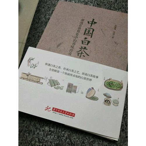中國白茶：一部泡在世界史中的香味傳奇