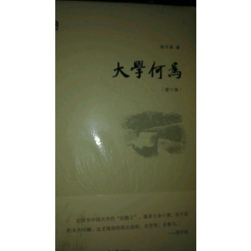大學(xué)何為(修訂版)
