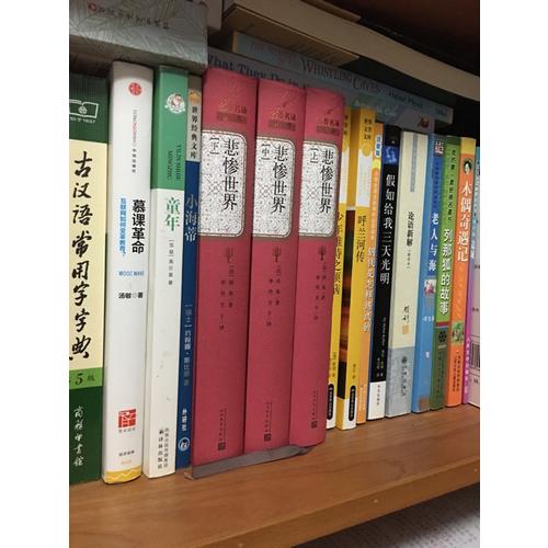 巴黎圣母院（精裝版）