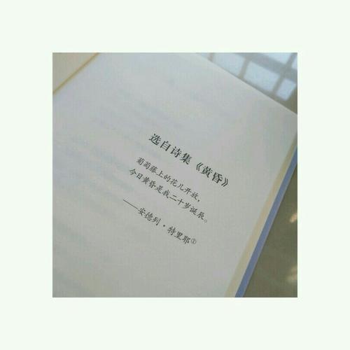 我的夜晚是對你的狂想：阿赫瑪托娃詩選