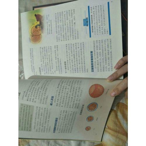 懷孕圣經+育兒圣經促銷套裝