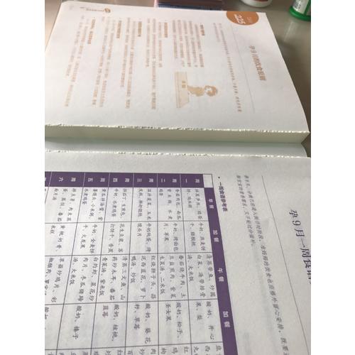 懷孕坐月子營養飲食一日一指導