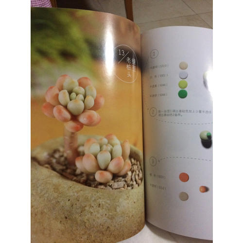 多肉萌語(yǔ)，軟陶養(yǎng)成私房手貼